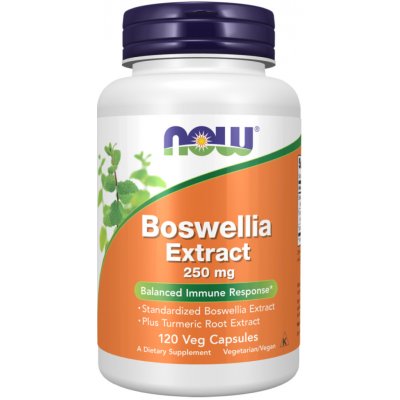 Now Foods Boswellia Extrakt + Kurkuma 250 mg 120 kapslí – Hledejceny.cz