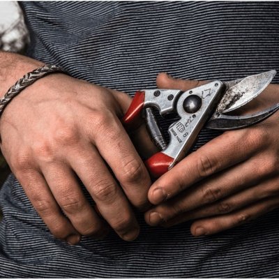 Felco 8 Classic – Zboží Dáma