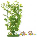 Hagen rostlina Cardamine 50 cm – Hledejceny.cz