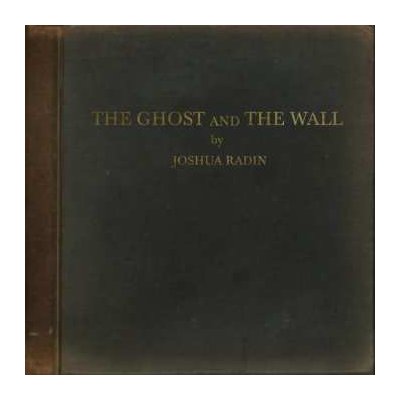 LP Joshua Radin: The Ghost And The Wall