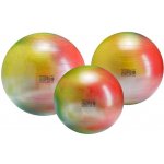 Gymnic Arte 55 cm – Zboží Dáma