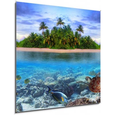 Skleněný obraz 1D - 50 x 50 cm - Marine life at tropical island of Maldives Mořský život na tropickém ostrově Maledivy – Zboží Mobilmania