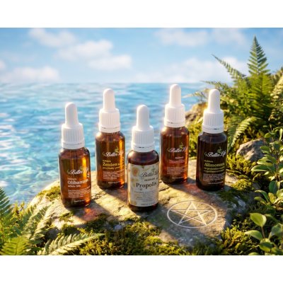 4betterlife Tinktury pro očistu těla i ducha sada Pentagram 5 x 20 ml + 1 zdarma – Hledejceny.cz