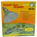 Lucky Reptile Bright Sun Flood Desert 70 W – Zboží Mobilmania