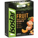 ISOSTAR HIGH ENERGY FRUIT BOOST 10 x 10 g – Sleviste.cz