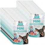 Brit Care Mini Losos a sleď sterilovaný 24 x 85 g – Sleviste.cz