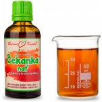 Bylinné kapky Čekanka nať kapky Duše rostlin tinktura 50 ml – Hledejceny.cz