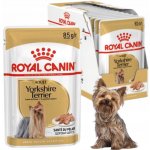 Royal Canin Yorkshire Adult 12 x 85 g – Zboží Mobilmania