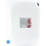 PM Aqualog esence do parních kabin severní zář 858-010/D 10 l – Hledejceny.cz