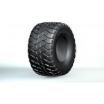 Maxam FLOTXTRA MS961R 600/60-30,5 173D TL – Hledejceny.cz