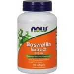 Now Foods Boswellia Extrakt 500 mg 90 softgelových kapslí – Hledejceny.cz