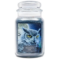 Village Candle Wizard´s Owl 602 g