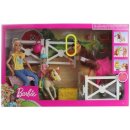 Barbie Jezdecká sada s koněm a poníkem