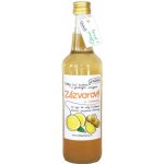 Od Mahcáčků Zázvorový sirup s citronem 0,5 l – Zboží Dáma
