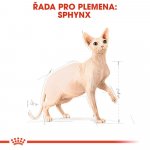 Royal Canin Sphynx Adult 10 kg – Zboží Mobilmania
