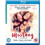 Mustang BD – Hledejceny.cz