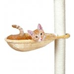 Trixie Náhradní odpočívadlo lehátko ke škrábadlu kulaté 40 cm max. do 4,5 kg – Hledejceny.cz