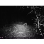 OXE Panther 4G – Zboží Živě