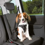 Trixie Dog Protect postroj do auta M 50–65 cm x 2 cm – Zbozi.Blesk.cz