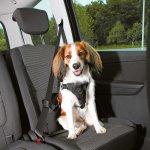 Trixie Dog Protect postroj do auta – Hledejceny.cz