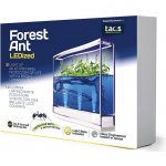 T.A.O.S. Forest Ant LEDized Antquarium Mravenční akvárium – Hledejceny.cz