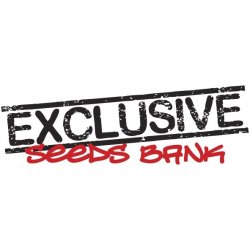 Exclusive Seeds Bank Auto Mozar semena neobsahují THC 3 ks