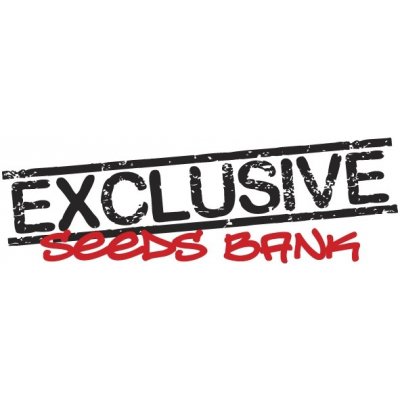 Exclusive Seeds Bank Super Larry OG semena neobsahují THC 5 ks