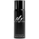 Burberry Mr. Burberry deospray 150 ml