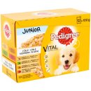 Pedigree Junior Multipack kapsičky 48 x 100 g