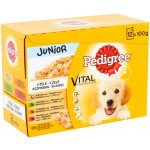 Pedigree Junior Multipack kapsičky 48 x 100 g – Zboží Mobilmania