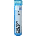 LYCOPODIUM CLAVATUM POR 5CH GRA 1X4G – Hledejceny.cz