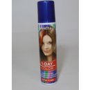 Venita 1-day Color barevný spray na vlasy zelená 50 ml