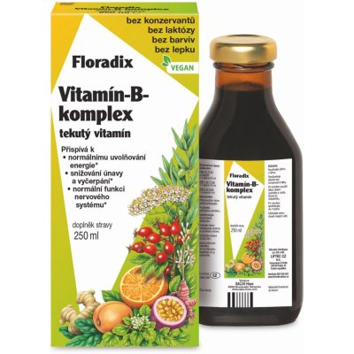 Salus Vitamin-B-Komplex 250 ml – Hledejceny.cz