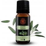 Day Spa BIO 100% Esenciální olej Šalvěj 10 ml – Hledejceny.cz
