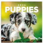 Nástěnný poznámkový Štěňata 2026 – Hledejceny.cz