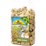 JR Farm Ovesné polštářky 100 g – Zboží Mobilmania
