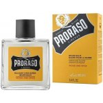 Proraso Wood & Spice balzám na vousy 100 ml – Zboží Dáma