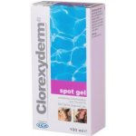 ICF Clorexyderm spot gel 100 ml – Zboží Mobilmania