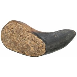 Buffalo Horn buvolí roh plněný buvolím penisem a šlachou 10 14 cm