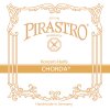 Struna Pirastro CHORDA 173720