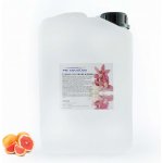 PM Aqualog esence do parních kabin grapefruit 825-003/D 3 l – Hledejceny.cz