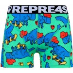 Pánské boxerky s vytkávanou gumou REPRE4SC SPORT SKATING T-REX Vyberte – Hledejceny.cz