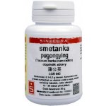 Sinecura Smetánka Pugongying extrakt 20 g – Hledejceny.cz