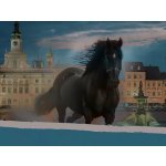 Záhada budějovických hradeb: Venkovní úniková hra – Hledejceny.cz