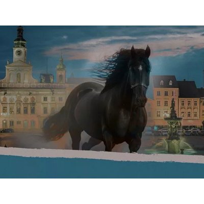 Záhada budějovických hradeb: Venkovní úniková hra – Hledejceny.cz