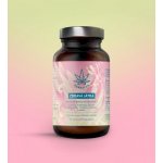 Herbalus Zdravá játra 90 ks – Hledejceny.cz