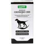 Roboran Chondro CBD 60 tbl – Hledejceny.cz