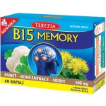 Terezia Company B15 Memory 60 kapslí – Hledejceny.cz