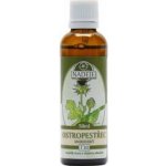 Naděje Ostropestřec mariánský z bylin 50 ml – Hledejceny.cz