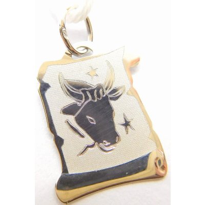 Klenoty Budín Zlatý přívěsek znamení BÝK v bílém zlatě na pergamenu GUPWN 58291 – Hledejceny.cz